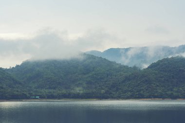 tropikal orman katmanları, Tayland