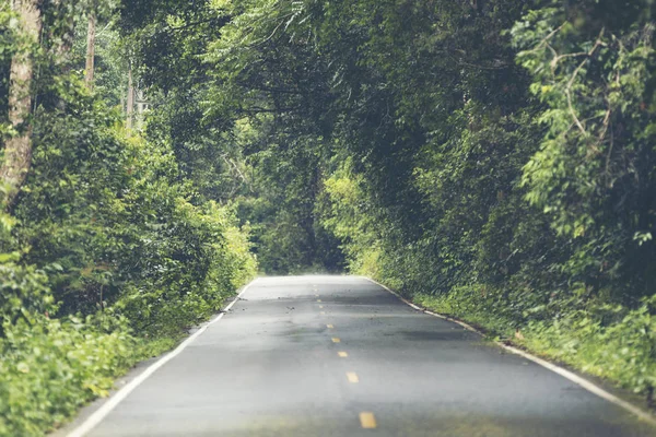 Strada Nel Campo Forestale Tropicale Nel Parco Nazionale Khao Yai — Foto Stock