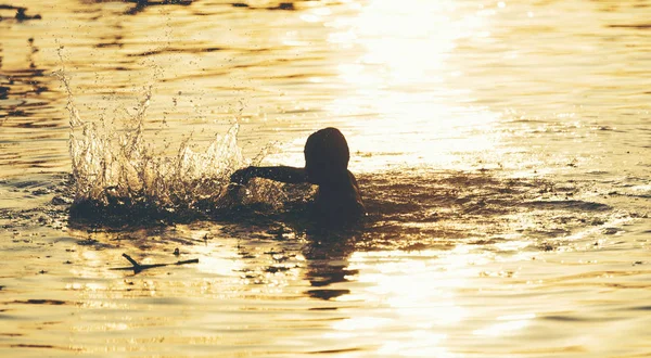 Silueta Forma Vida Agua — Foto de Stock