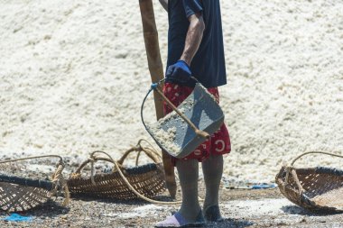 PETCHABURI - MAR 31: Worker is helping to transport salt from salt field. Ban Laem, Phetchaburi, Thailand on March 31, 2017.
