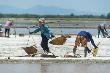 PETCHABURI - MAR 31: Workers are helping to transport salt from salt field. Ban Laem, Phetchaburi, Thailand on March 31, 2017.