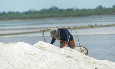PETCHABURI - MAR 31: Worker is helping to transport salt from salt field. Ban Laem, Phetchaburi, Thailand on March 31, 2017.