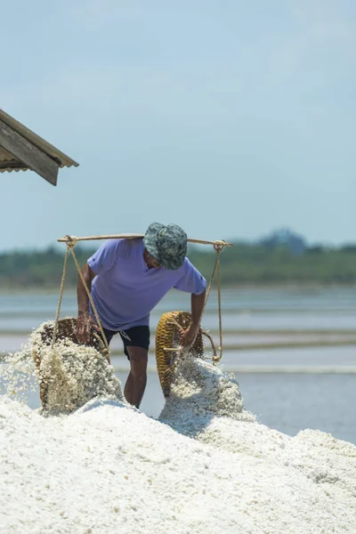 Petchaburi Mar Worker Helping Transport Salt Salt Field Ban Laem — Foto Stock