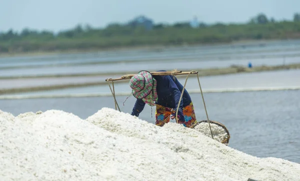 Petchaburi Mar Worker Helping Transport Salt Salt Field Ban Laem — Foto Stock