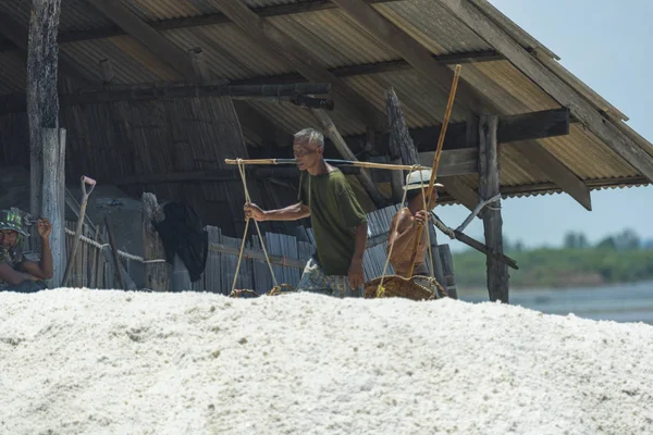 Petchaburi Mar Workers Helping Transport Salt Salt Field Ban Laem — Foto Stock