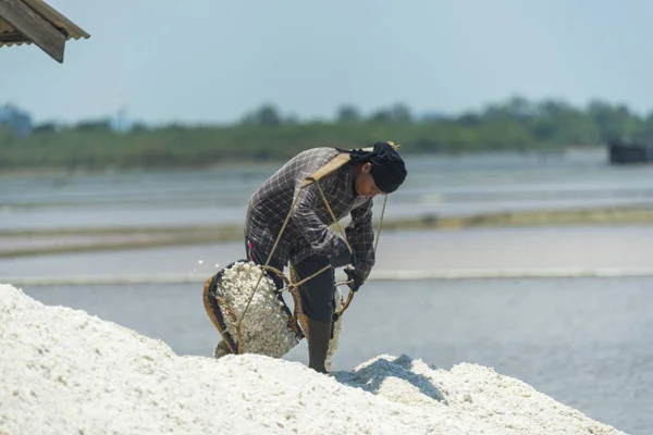 Petchaburi Mar Worker Helping Transport Salt Salt Field Ban Laem — Foto Stock