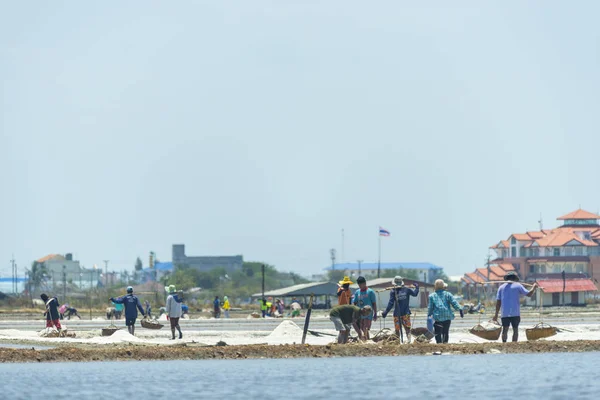 Petchaburi Mar Workers Helping Transport Salt Salt Field Ban Laem — Foto de Stock