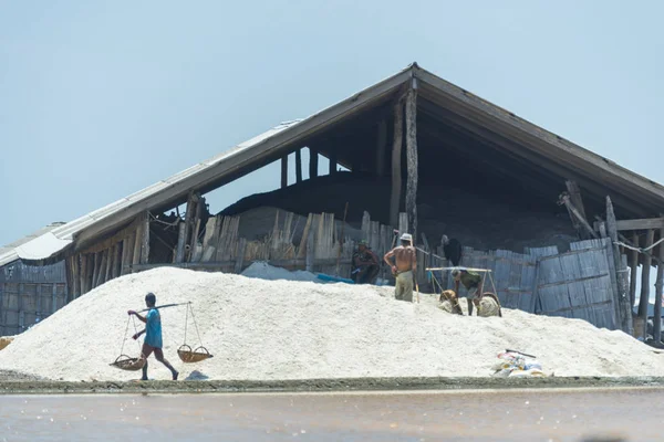 Petchaburi Mar Workers Helping Transport Salt Salt Field Ban Laem — Foto Stock