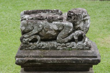 taş soyut doku arka plan