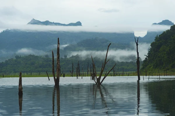 Vista Lago Tropical Tailandia — Foto de Stock