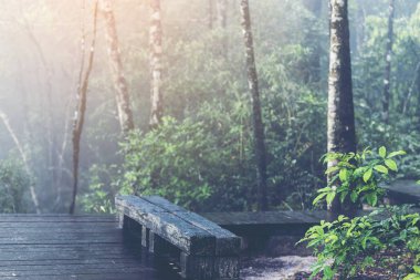 doğa, doğa yol için yol