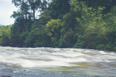 akarsu nehir tropikal ormanda, Tayland