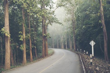 doğa, doğa yol için yol