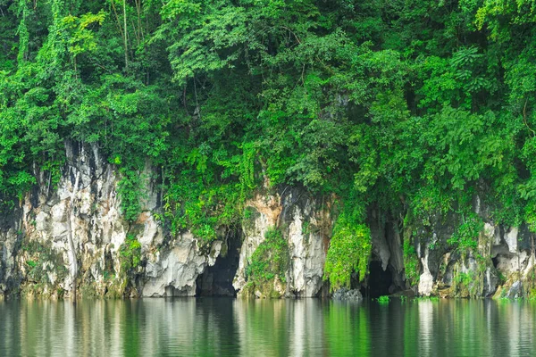 Foresta Tropicale Sul Lago Thailandia Parco Nazionale — Foto Stock