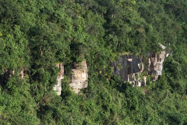 Tropikal orman manzara görünümü, Asya orman sitesi