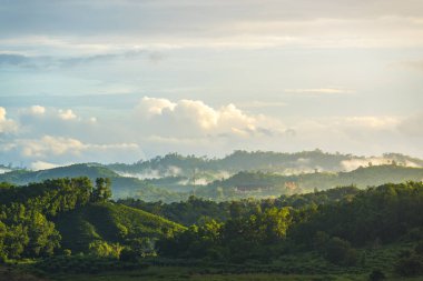Tayland tropikal orman görünümü