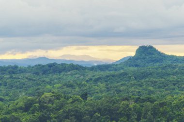 landscape view of nature scene, the western forest complex in Thailand, world heritage site, use for background and wallpaper