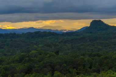 landscape view of nature scene, the western forest complex in Thailand, world heritage site, use for background and wallpaper