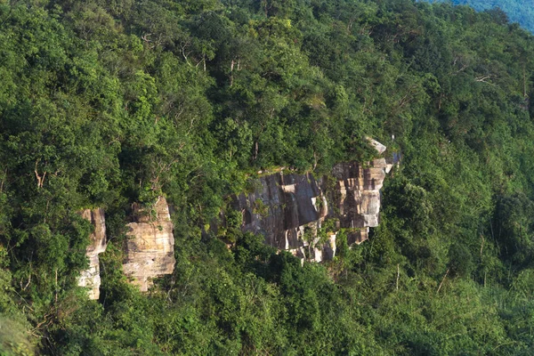 Landschap Uitzicht Khao Yai Tropisch Bos Thailand Natuur Beeld Voor — Stockfoto