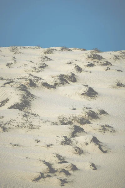 Dune Sabbia Nella Provincia Muine Phanthiet Vietnam — Foto Stock