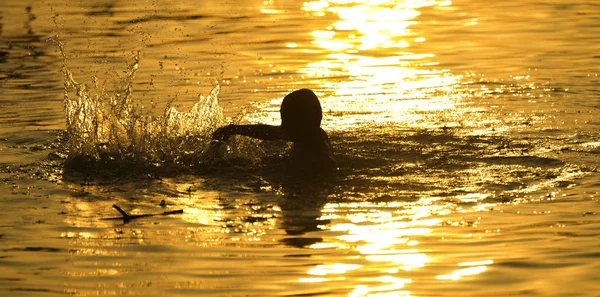 Silhouette Kid Swimming River Sunset — Stock Fotó