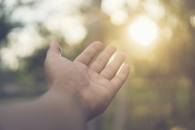 Doğanın Güneş Işıklı Soyut Resmi