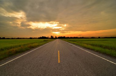 Çeltik alanı manzarası, Tayland