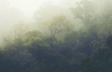 doğal manzaralı, Mae Wong Milli Parkı, Kamphaengphet, Tayland