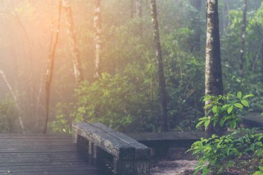 Bol doğal kaynakların görüntüsü. Dong Phaya Yen - Khao Yai dünya mirası Site