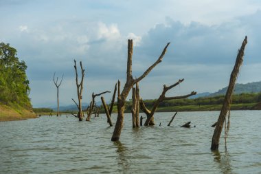 Mavi gökyüzü ile tatlı su Gölü