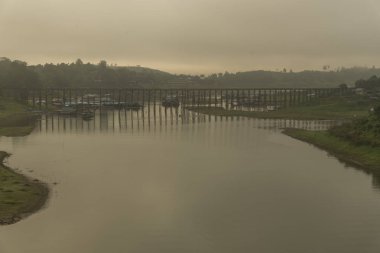 Tayland tropikal orman alanının görünümü