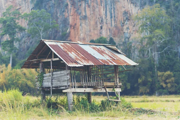 Wood cottage in paddy rice field, countryside of Thailand