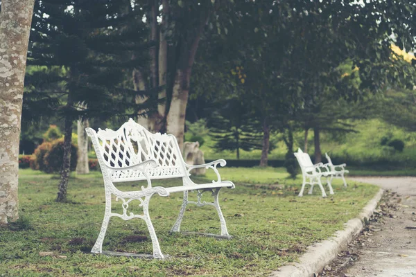white chair in garden