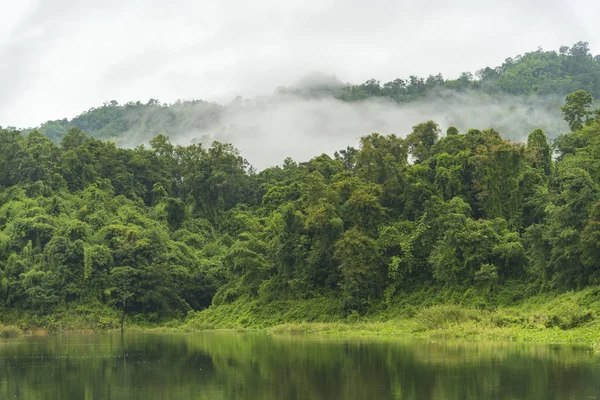 熱帯雨林 世界遺産の景観 — ストック写真
