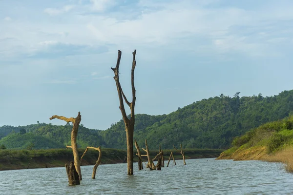 Вид Лесные Угодья Таиланде — стоковое фото