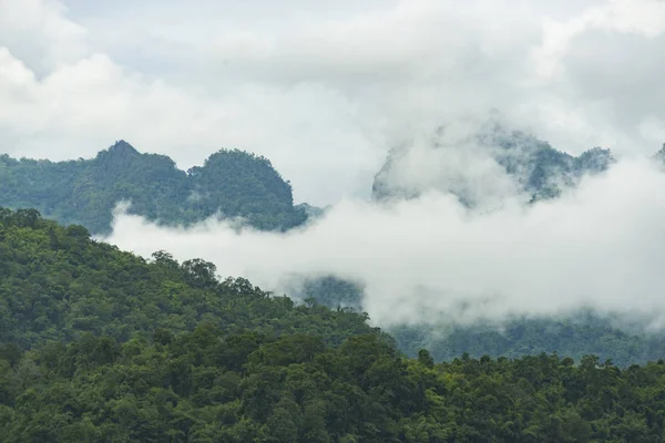 Kanchanaburi Floresta Tropical Vista Natural — Fotografia de Stock