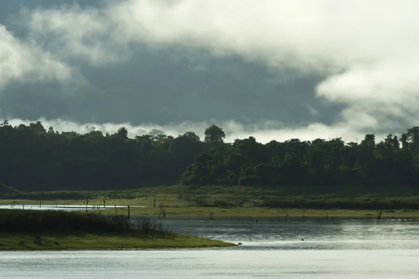 Vista Del Campo Bosque Tropical Tailandia — Foto de Stock