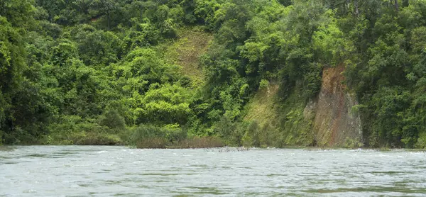 河的风景从热带森林流动 — 图库照片