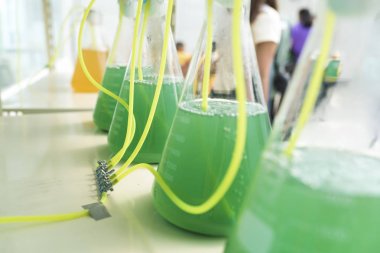 algae research process in laboratory clipart