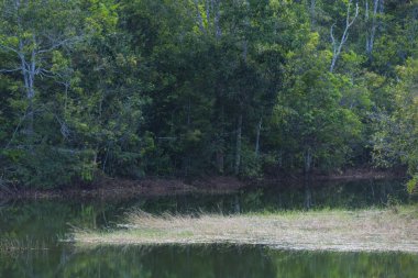 Sevgiliye arka plan, vintage filtre görüntü