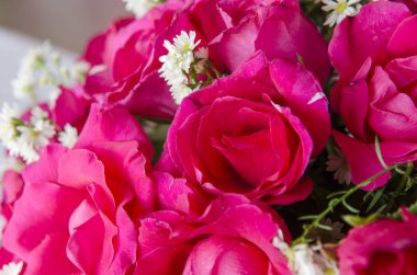 Sevgililer günü için gül çiçek arka plan