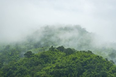 tropikal dağ görünümünde sabah, Tayland