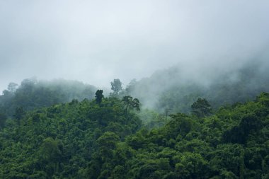 tropikal dağ görünümünde sabah, Tayland