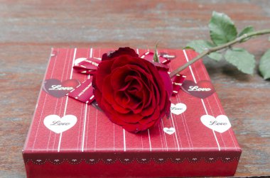 Sevgililer günü için hediye kutusu ile kırmızı gül çiçek