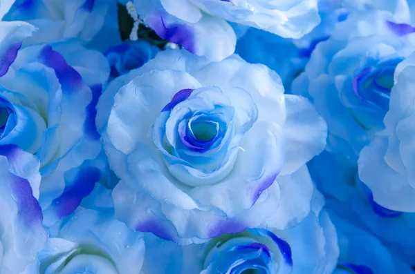 Růže Květ Pozadí Pro Den Svatého Valentýna Mother Day — Stock fotografie