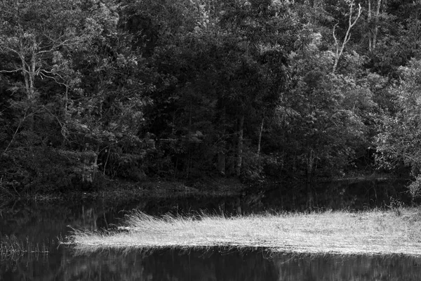 Sevgiliye arka plan, vintage filtre görüntü