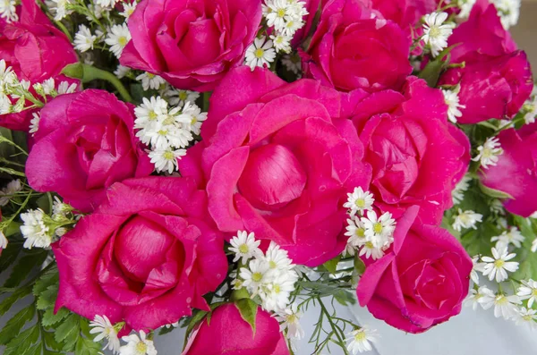 Rosa Fundo Flores Para Dia Dos Namorados — Fotografia de Stock