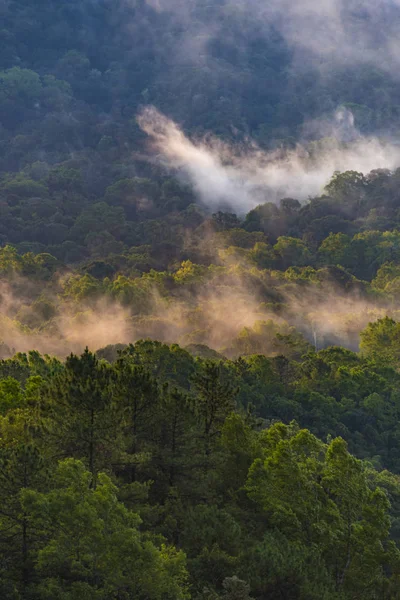 Montanhas Durante Pôr Sol Bela Paisagem Natural Tempo Verão — Fotografia de Stock