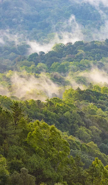 Campo Montanha Localização Natureza Tailândia — Fotografia de Stock