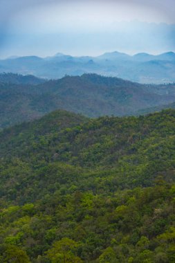 Tropikal ormanın dağ manzarası